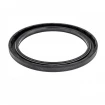 High pressure oil seal 95x120x8 BAHDSL15 NBR [Poclain MG21]